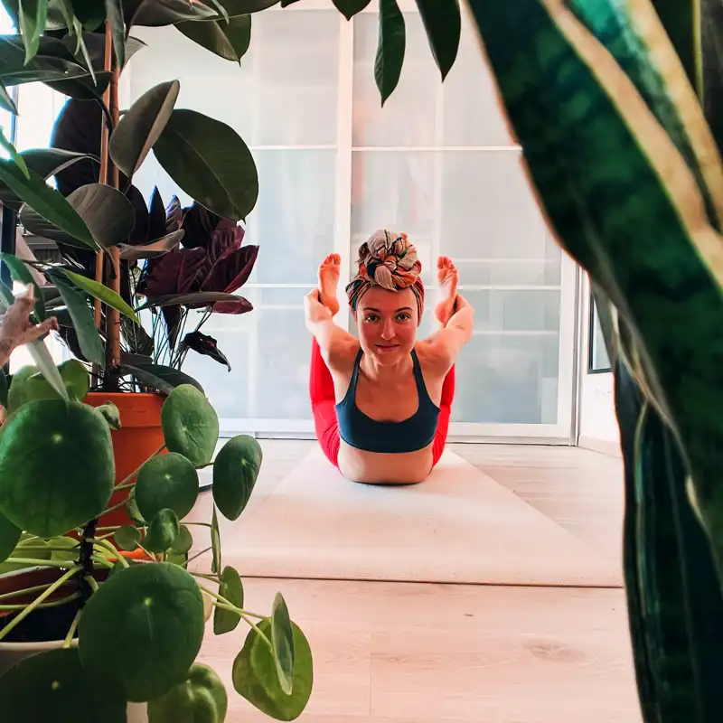 Plants for a yoga studio