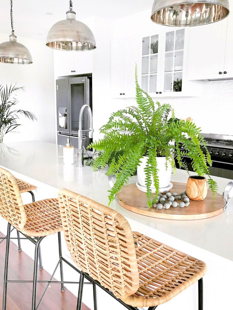 Boston fern plant in a white kitchen