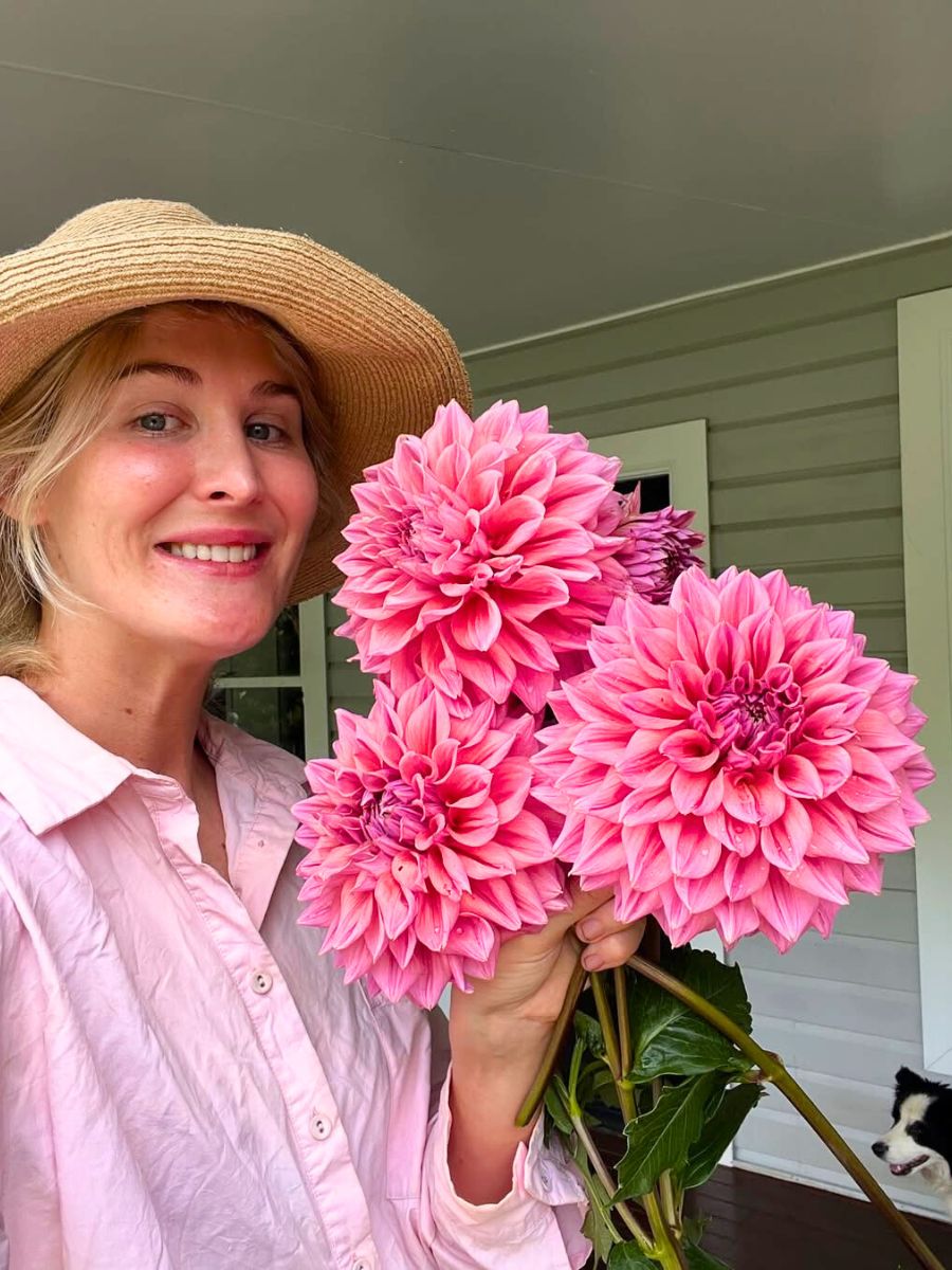 Woman showing size of pink Dahlias