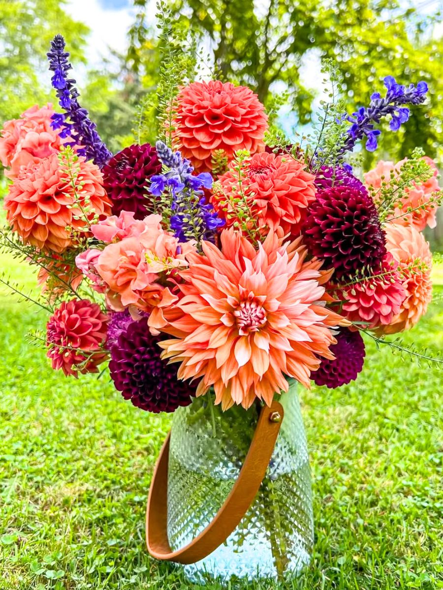 Dahlias in a glass vase