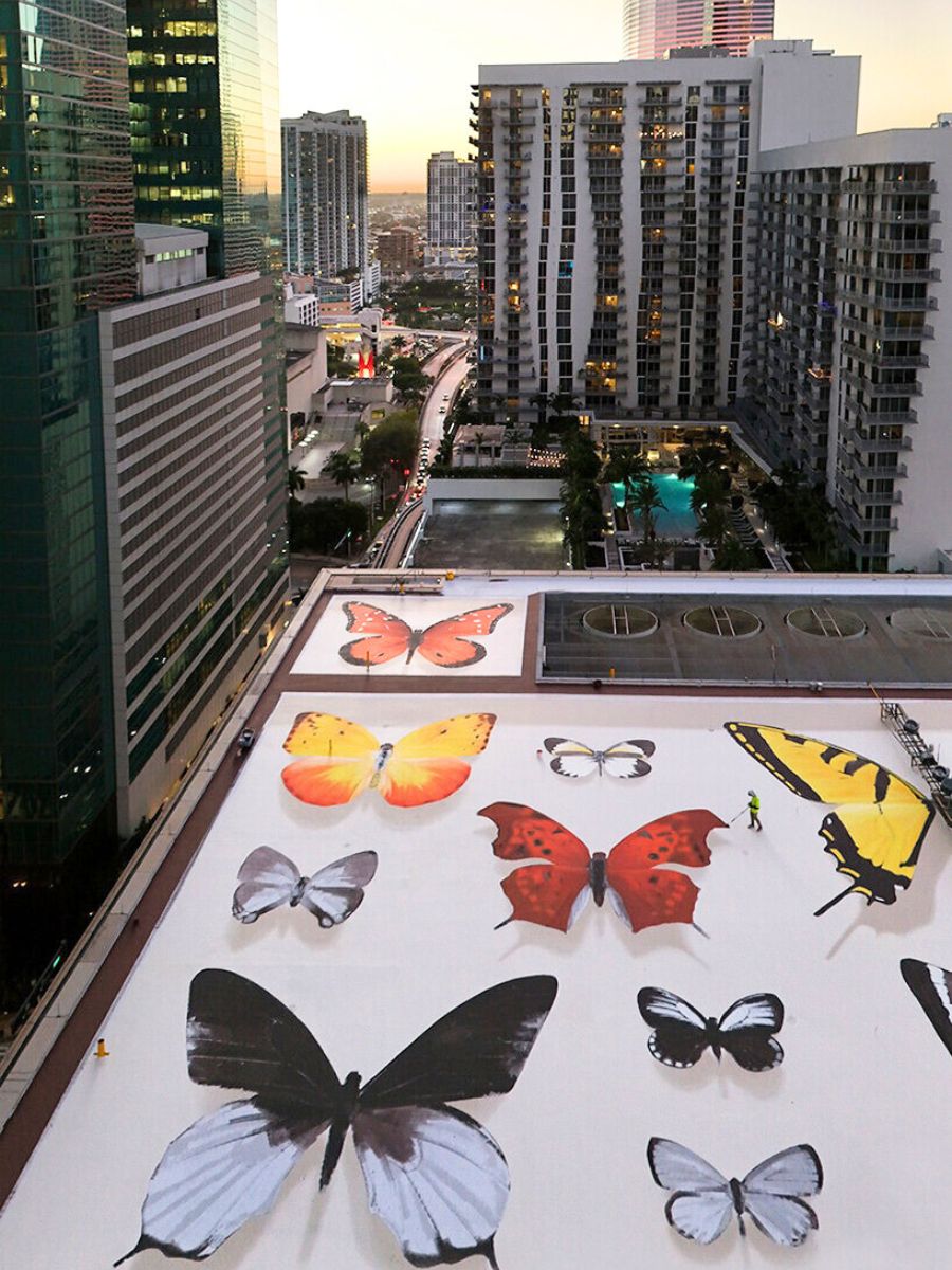 Butterfly mural in rooftop in Miami