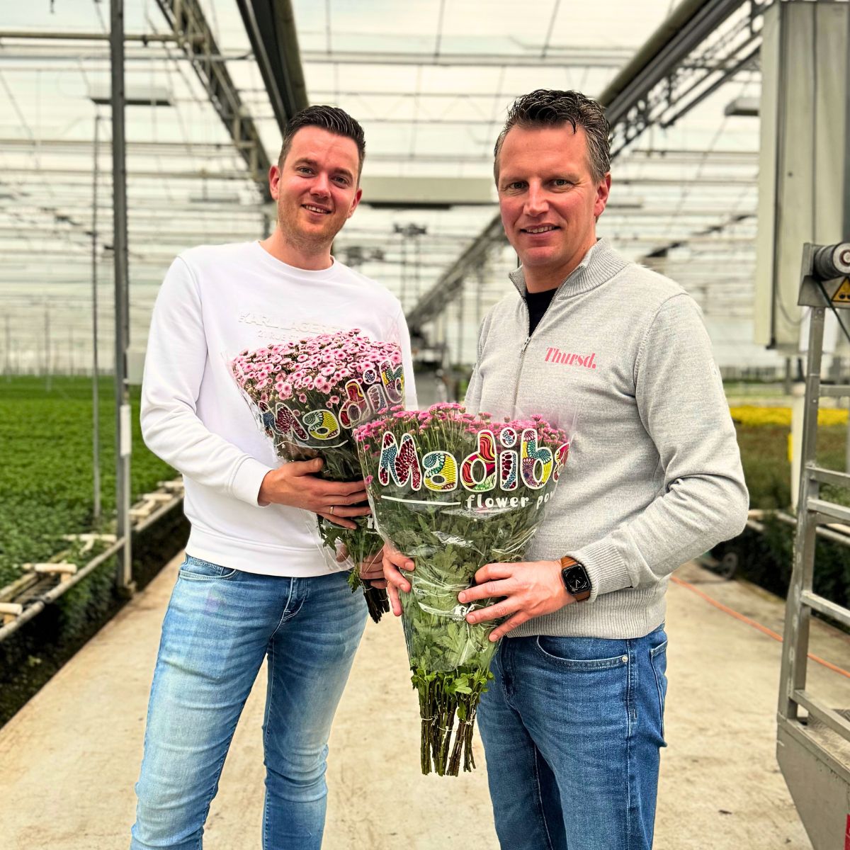 Peter van Delft introduces Madiba Chrysanthemum from Dekker Chrysanten