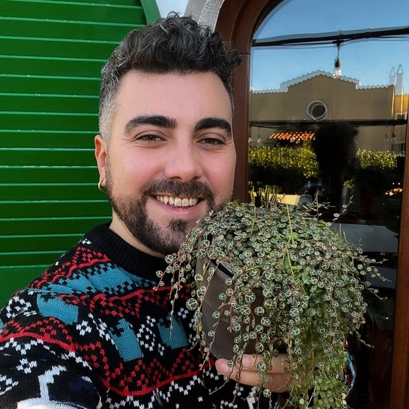 An Essential Guide for a Thriving String of Turtles Plant