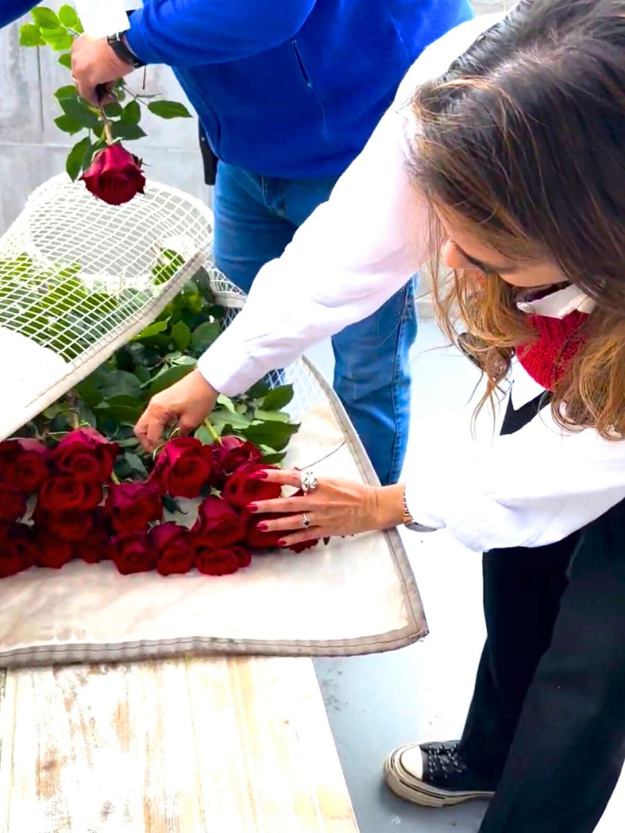 Shallima Turizo arranging Born Free roses