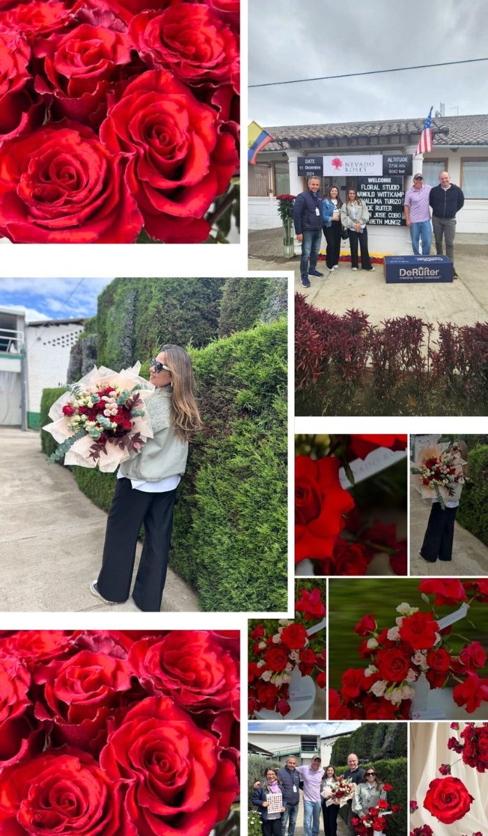 Visit to Nevado Roses in Ecaudor