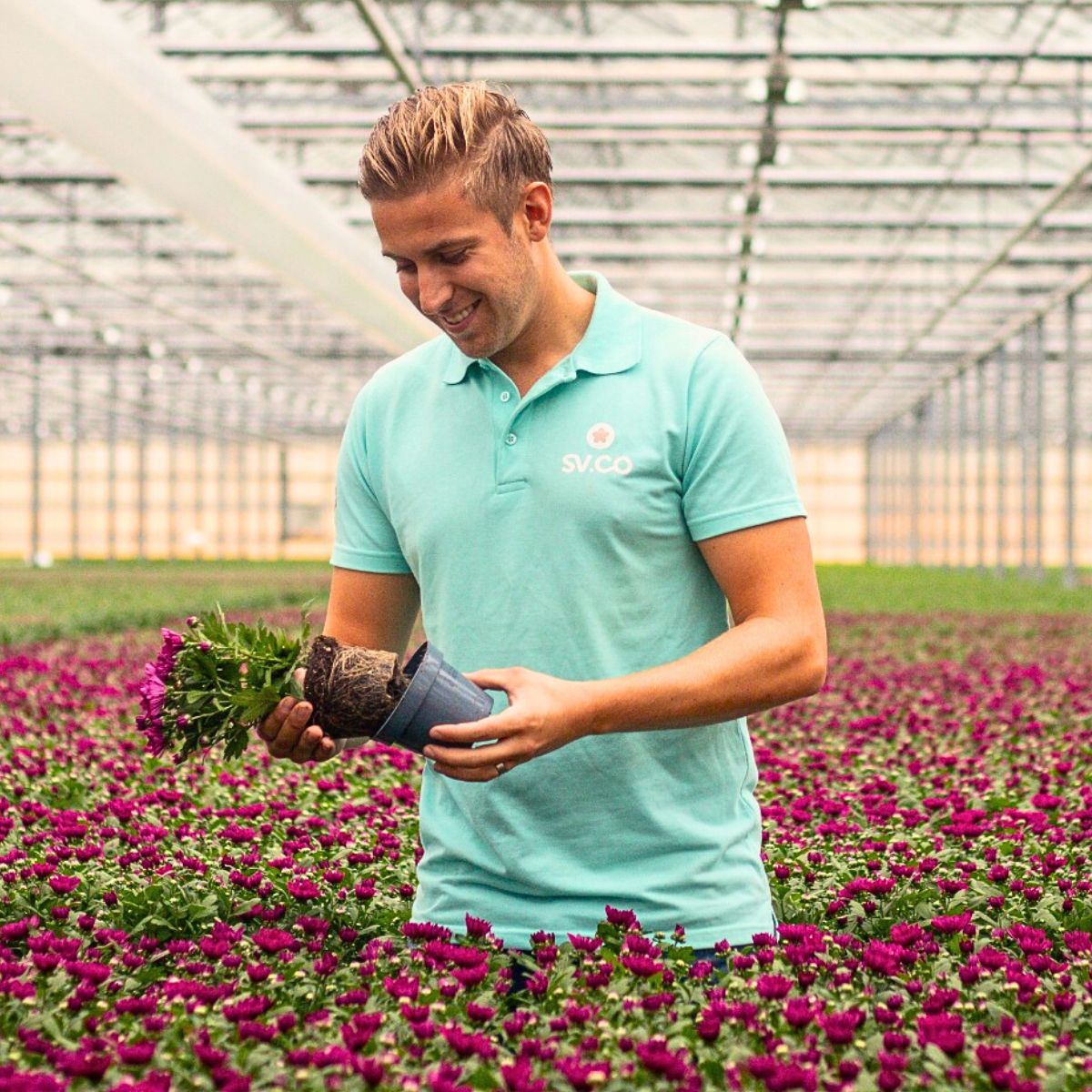 About Carbon Footprinting in Floriculture