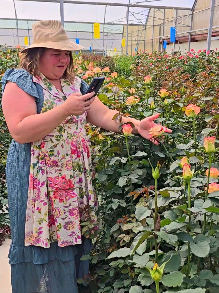 Floral Personality Sarah Campbell Enchanted by Kenya’s Array of Spray Roses and Other Flowers at Interplant Roses East Africa in Naivasha