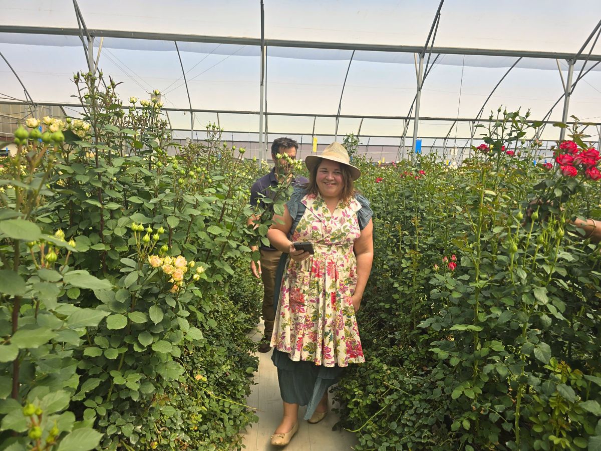 Floral Personality Sarah Campbell Enchanted by Kenya’s Array of Spray Roses and Other Flowers at Interplant Roses East Africa in Naivasha