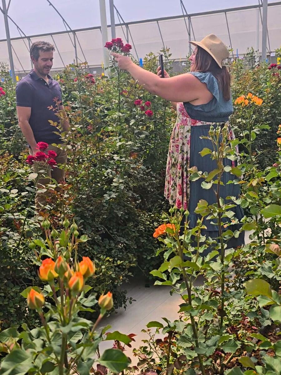 Floral Personality Sarah Campbell Enchanted by Kenya’s Array of Spray Roses and Other Flowers at Interplant Roses East Africa in Naivasha