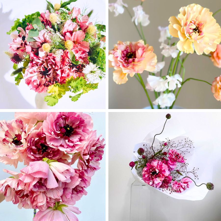 Collage of Ranunculus Charlotte in different tones