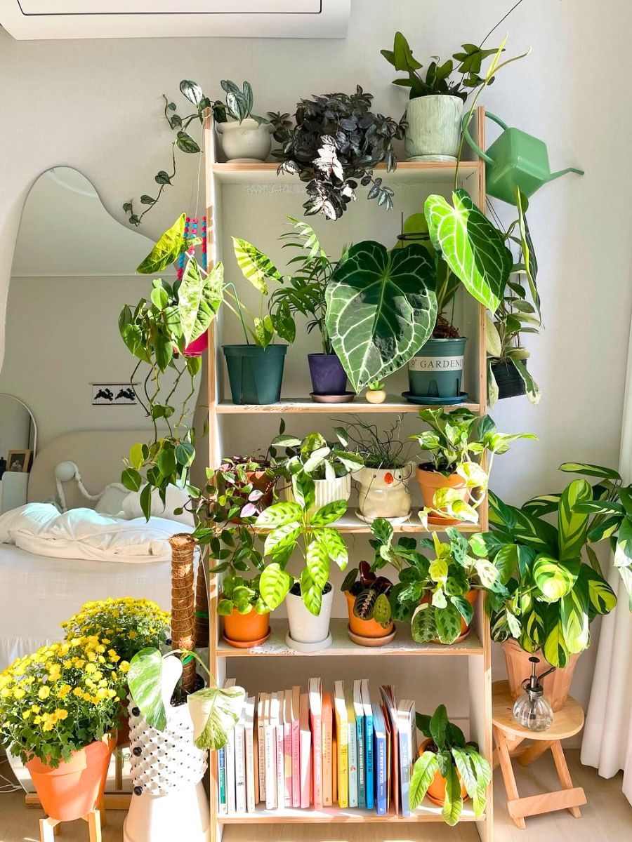 A room decorated with plants in a corner with light