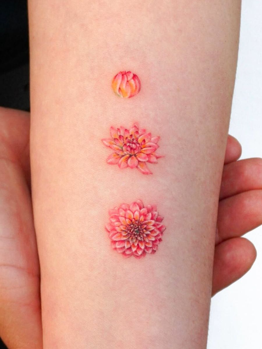 Dahlia blooming stages in a tattoo