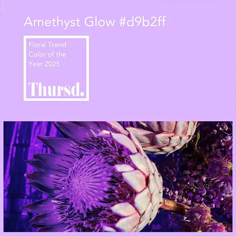 Thursd Floral Trend Color 2025 Amethyst Glow