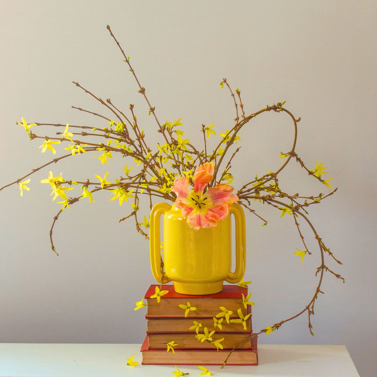 Forsythia in lifestyle decor