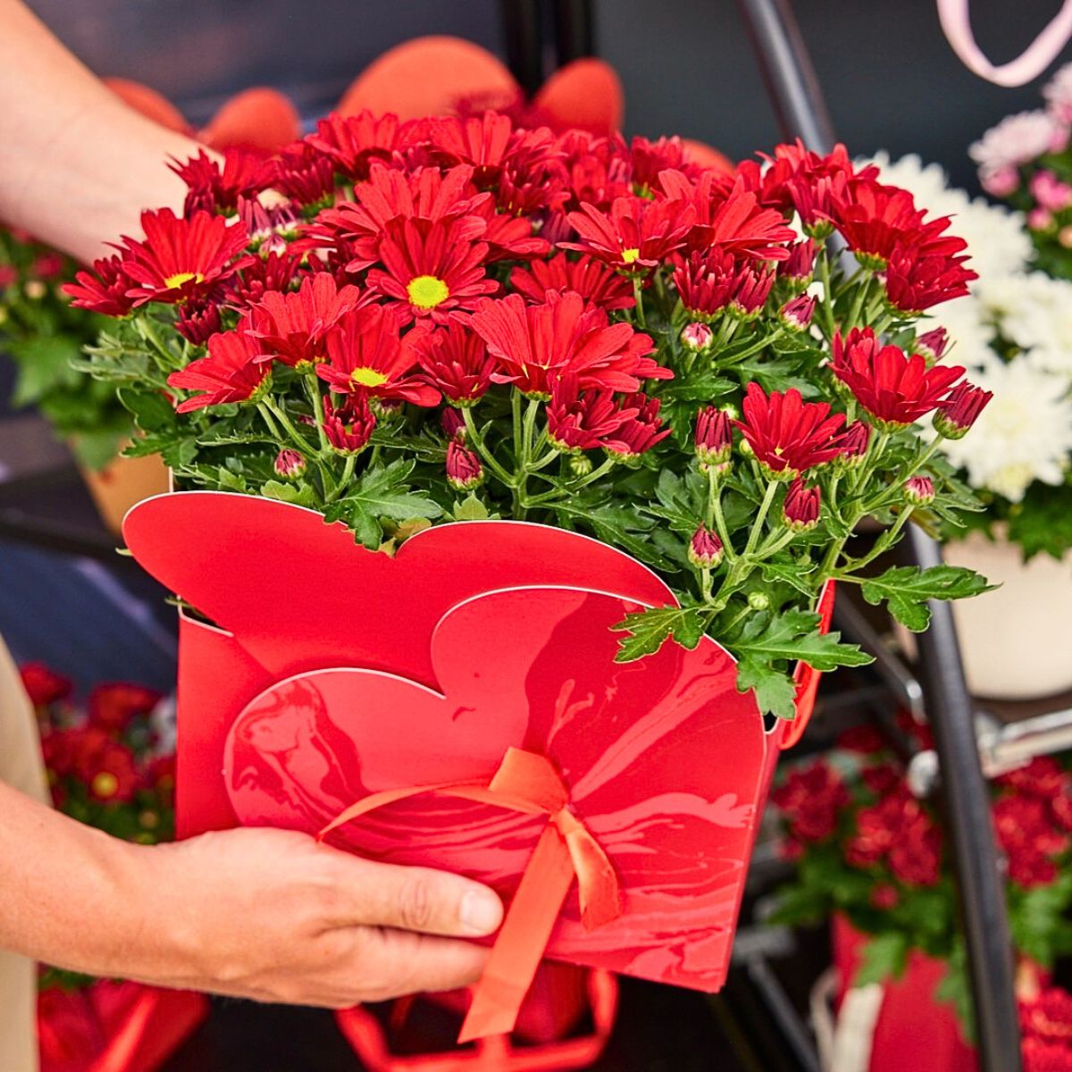 Red Flower Meaning