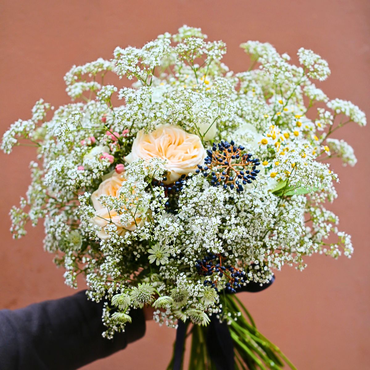 Marginpar’s Exquisite Gypsophila Million Daisy™