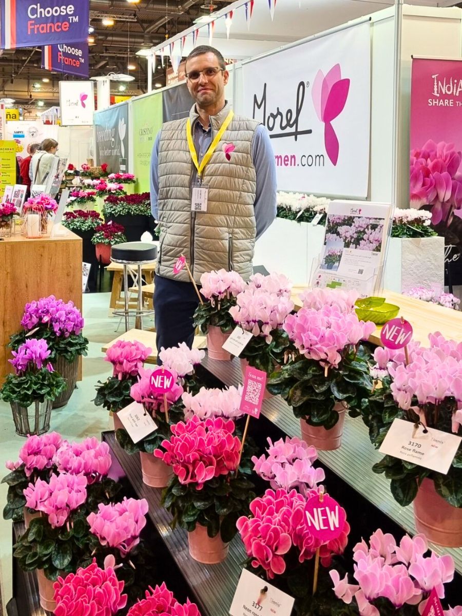 Breeder Morel goes back to nature at IPM Essen 2025 with new and exciting varieties of Cyclamen and Hellebores