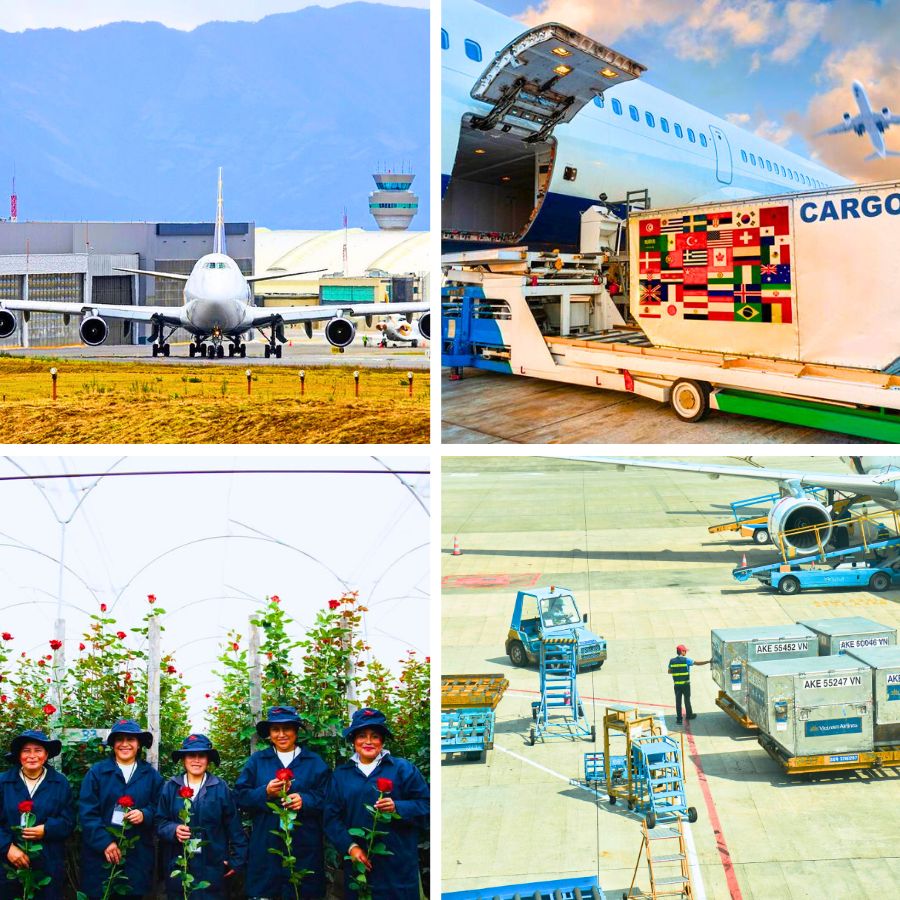 Cargo services for flowers exporting from Ecuador