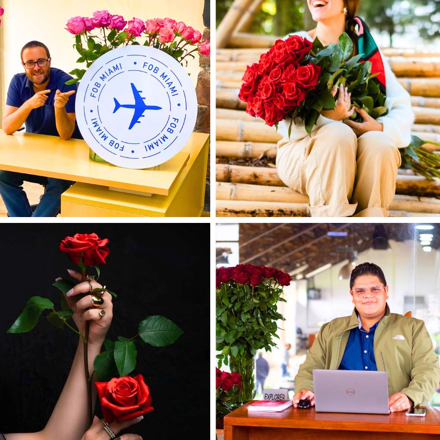 Valentines Day roses from Ecuador