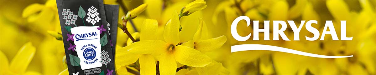 Banner Chrysal Forsythia Desktop