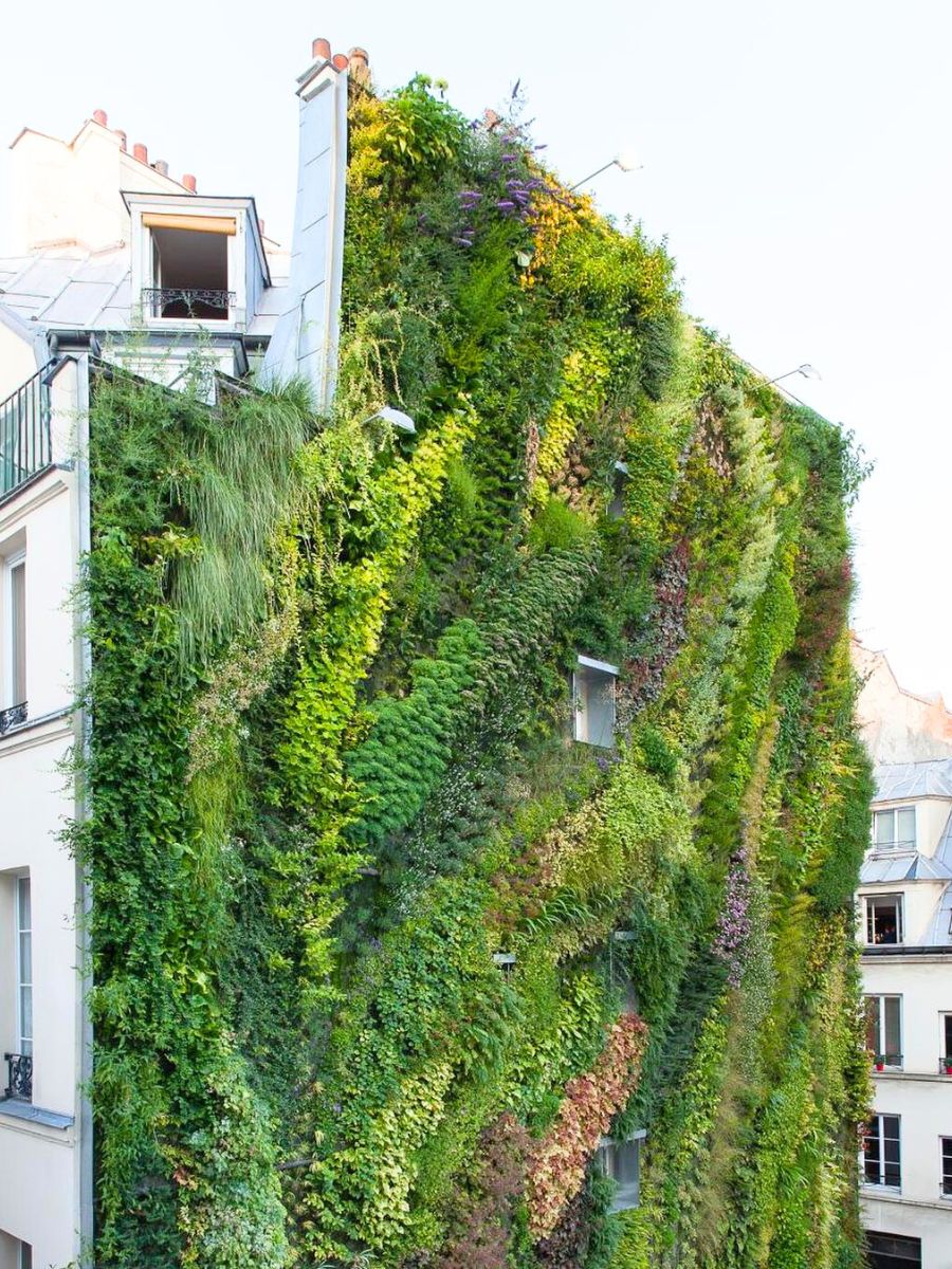 Very green vertical garden on the side wall of a building