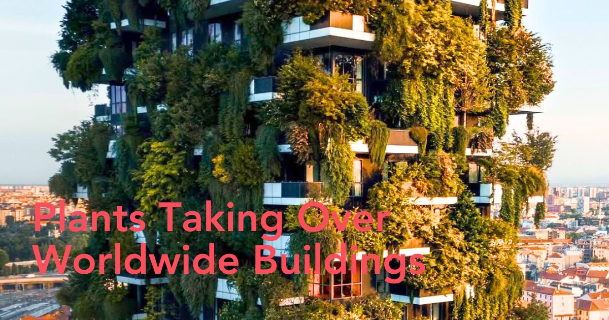 Plants taking over buildings worldwide