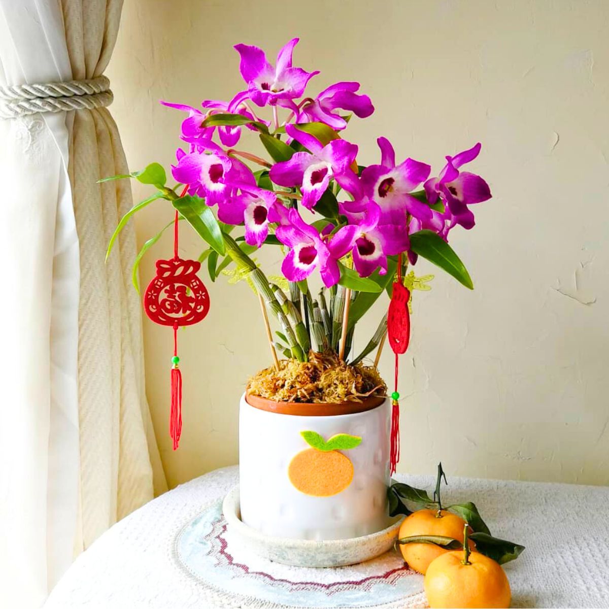 Dendrobium orchids for good fortune and luck