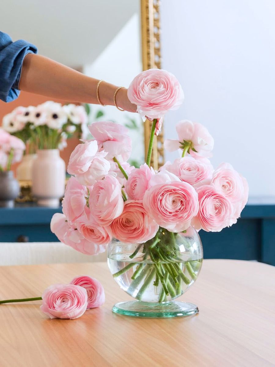 Light pink ranunculus by Floraprima