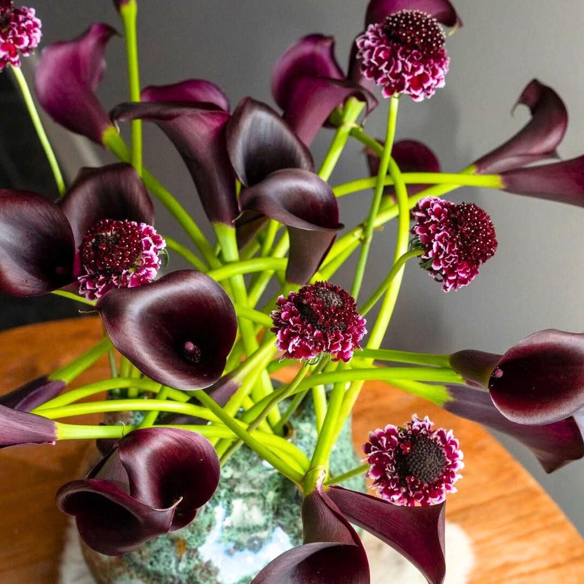 Special dark red callas for Vday