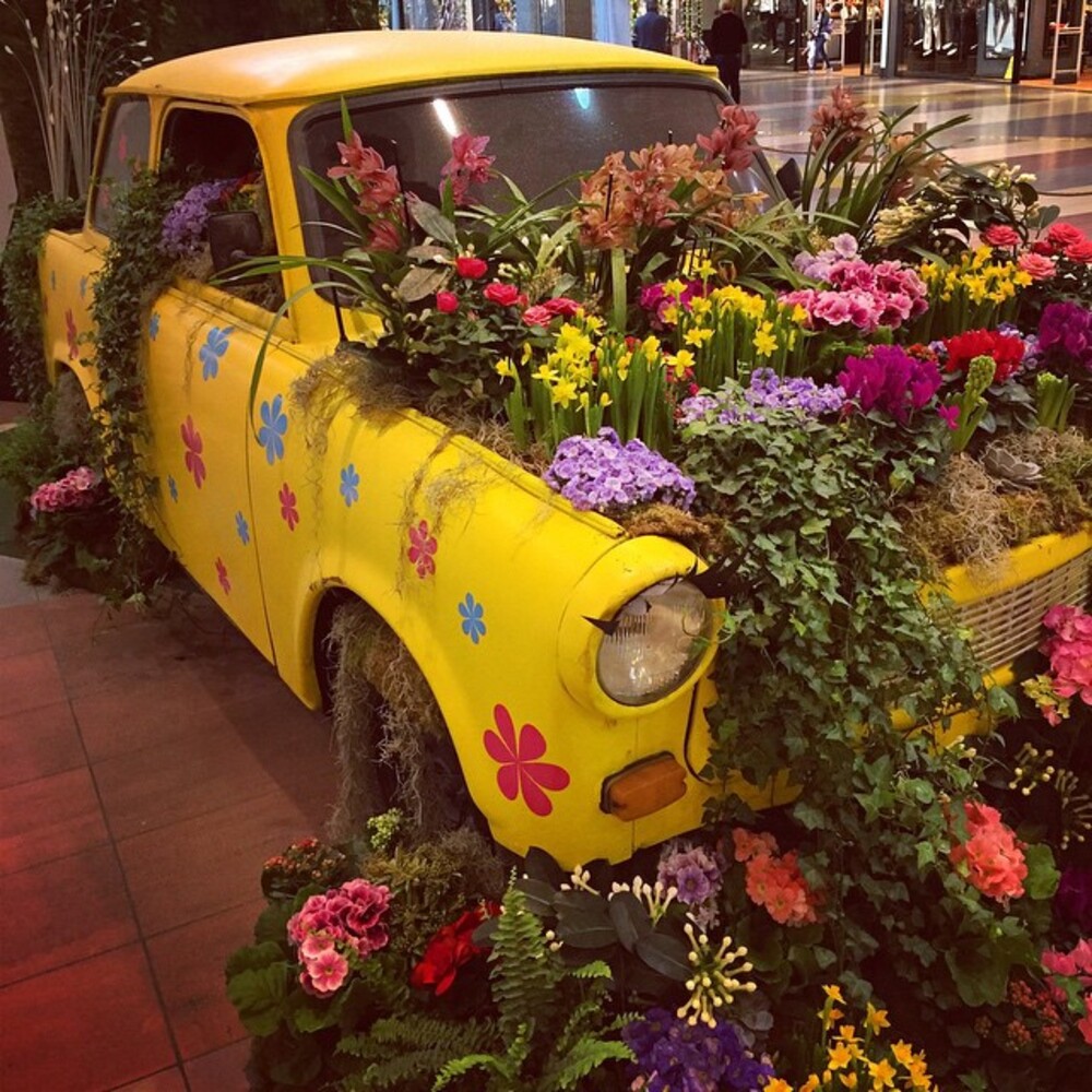 Flower arrangement over car