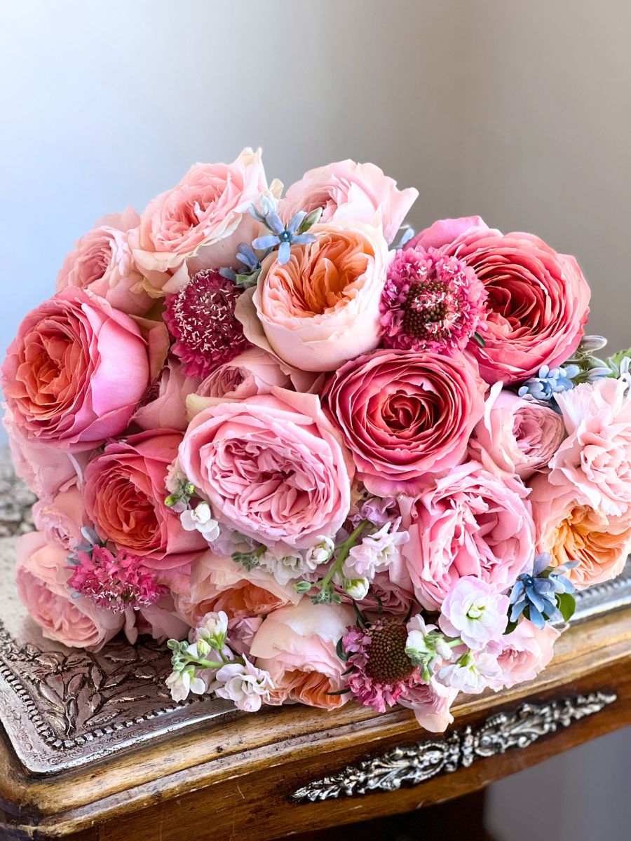 Pastel dreams with pink garden roses