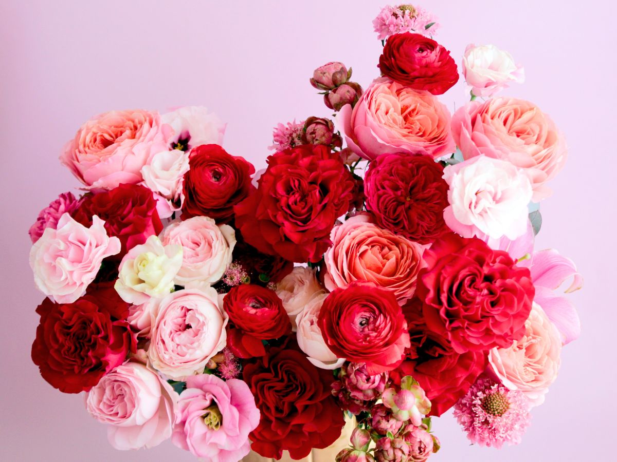 Valentines combinations using garden roses by Alexandra FArms