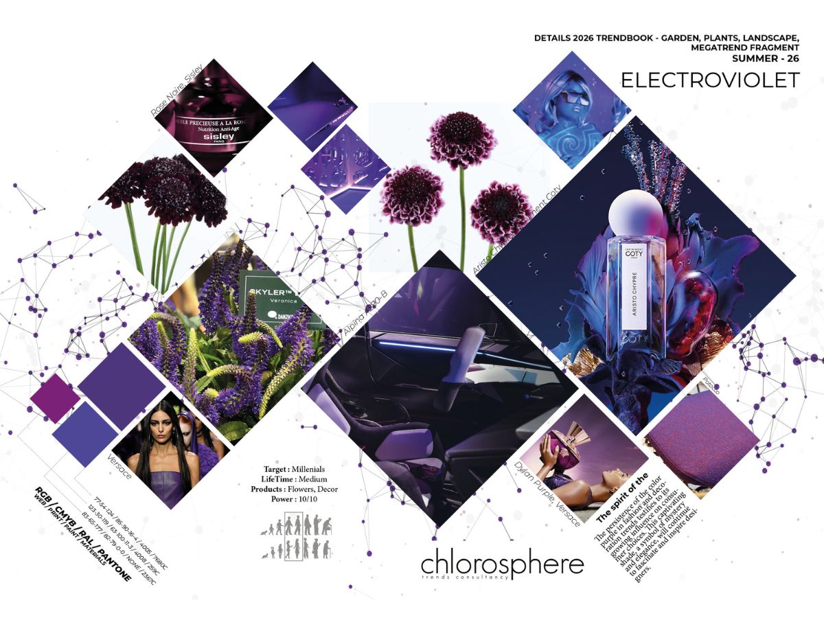 Danziger Trends Electroviolet Spring and Summer 2025