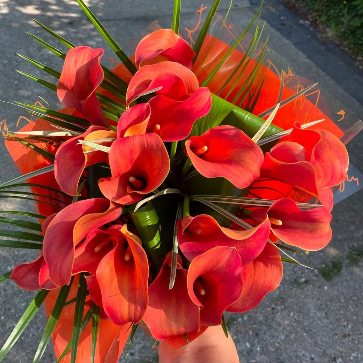 Red calla lilies in a Vday arrangement