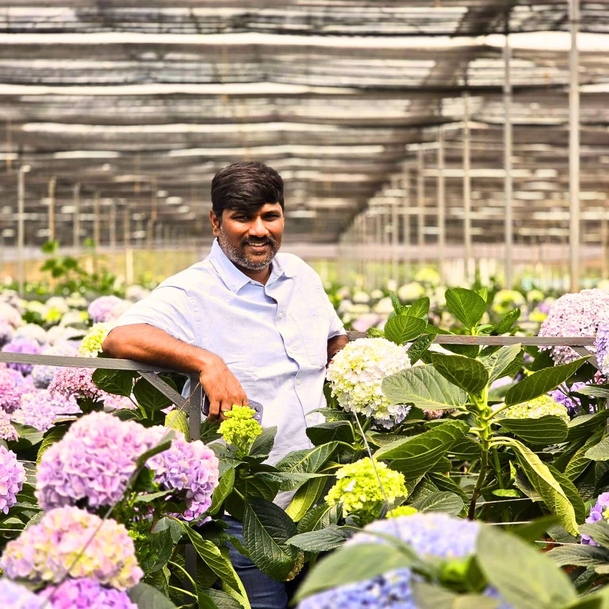 Understanding the ESG Framework in Floriculture Sustainability