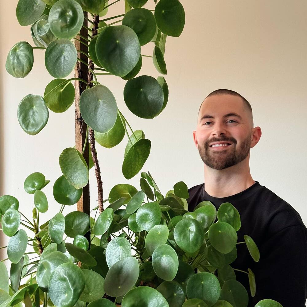 Men Hold Indoor Plant