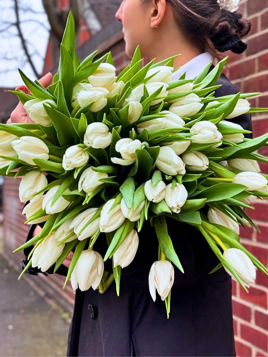 Woman holds a large bouquet of white tulips.