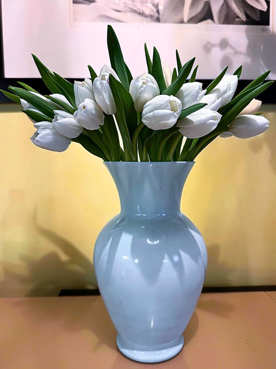 White tulips in a blue vase on a table.