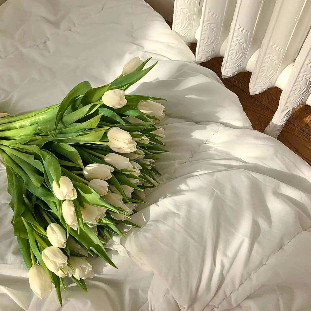 Bouquet of white tulips on a white blanket.