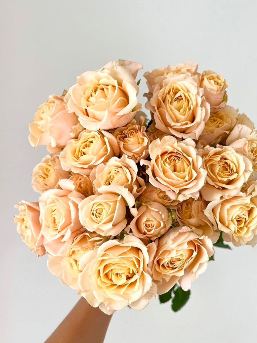 Bouquet of Rose Sahara Sensation