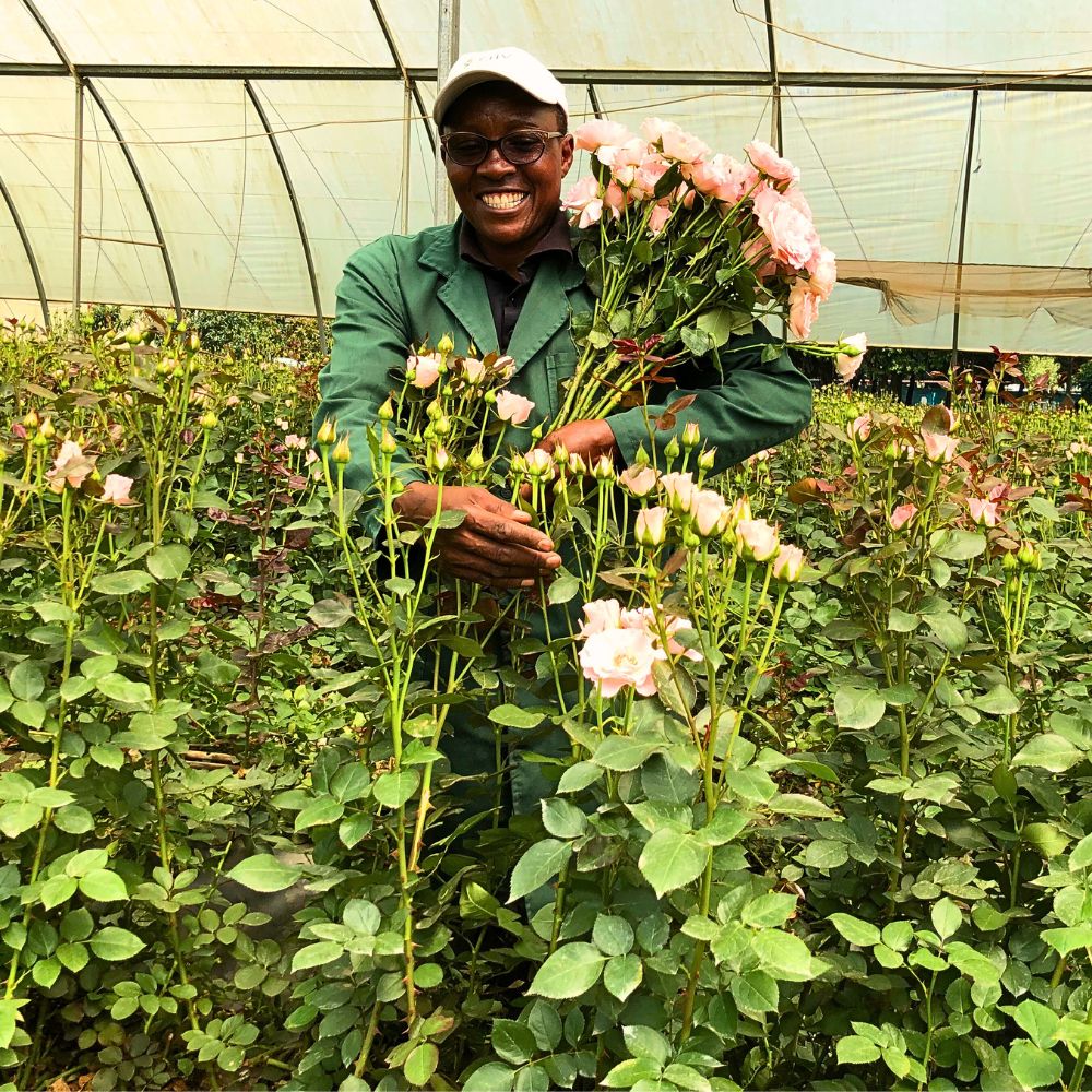 Kenya Flower Council Showcases Kenya’s Floriculture Sustainability Efforts Through Different Campaigns