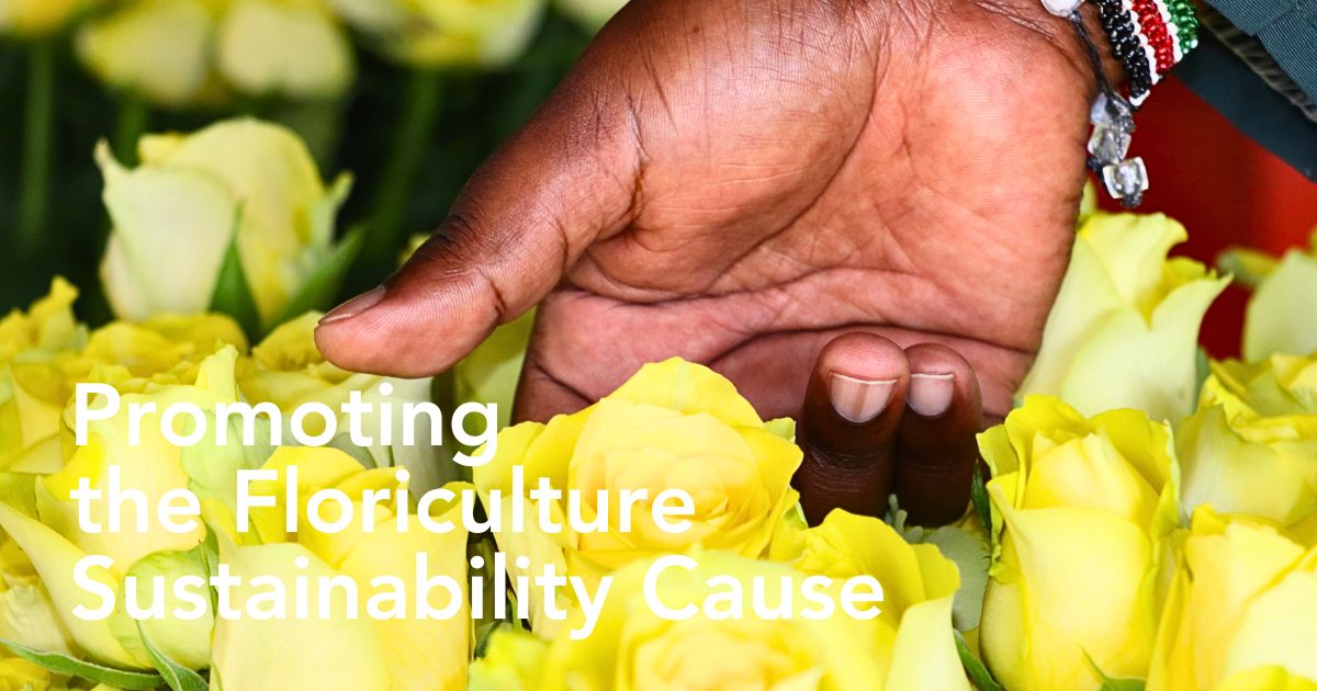 Kenya Flower Council Showcases Kenya’s Floriculture Sustainability Efforts Through Different Campaigns