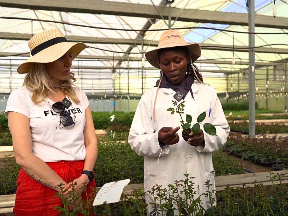 Kenya Flower Council Showcases Kenya’s Floriculture Sustainability Efforts Through Different Campaigns