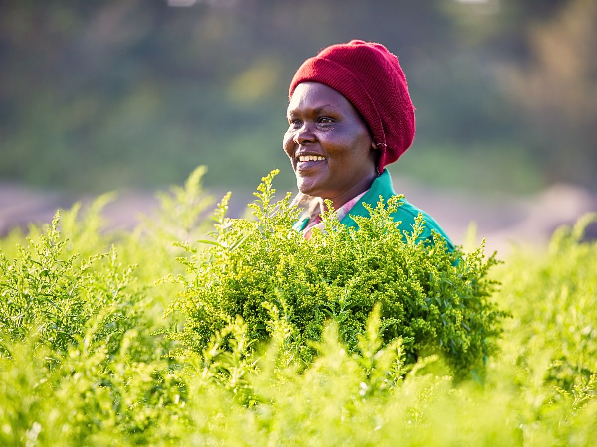 Kenya Flower Council Showcases Kenya’s Floriculture Sustainability Efforts Through Different Campaigns