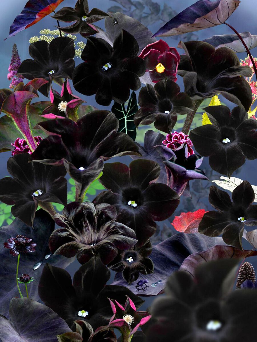 Rudd Van Empel