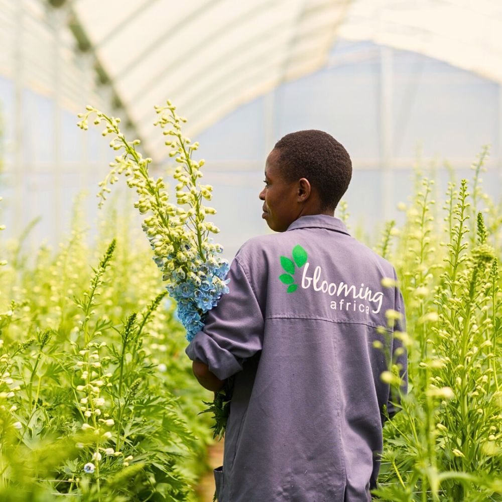 Kenya Flower Council Showcases Kenya’s Floriculture Sustainability Efforts Through Different Campaigns