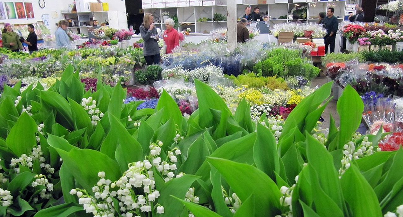 San Francisco Flower Market trader on Thursd header