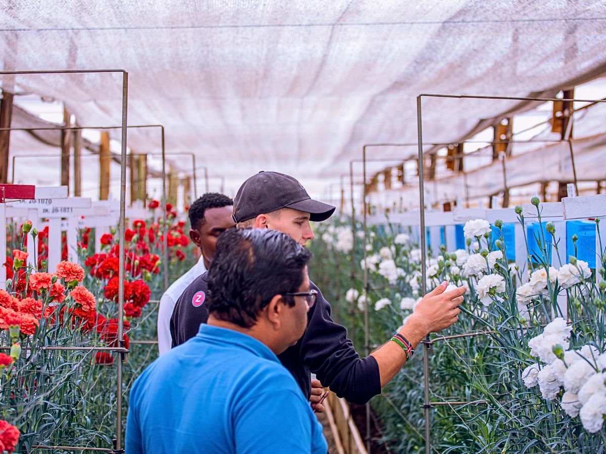 Kenya Flower Council Showcases Kenya’s Floriculture Sustainability Efforts Through Different Campaigns