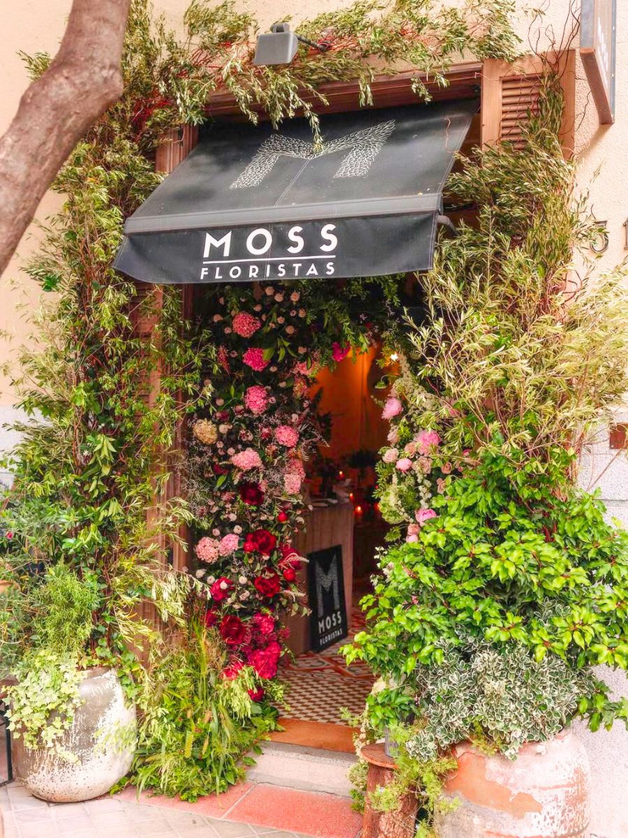 Moss Floristas Madrid