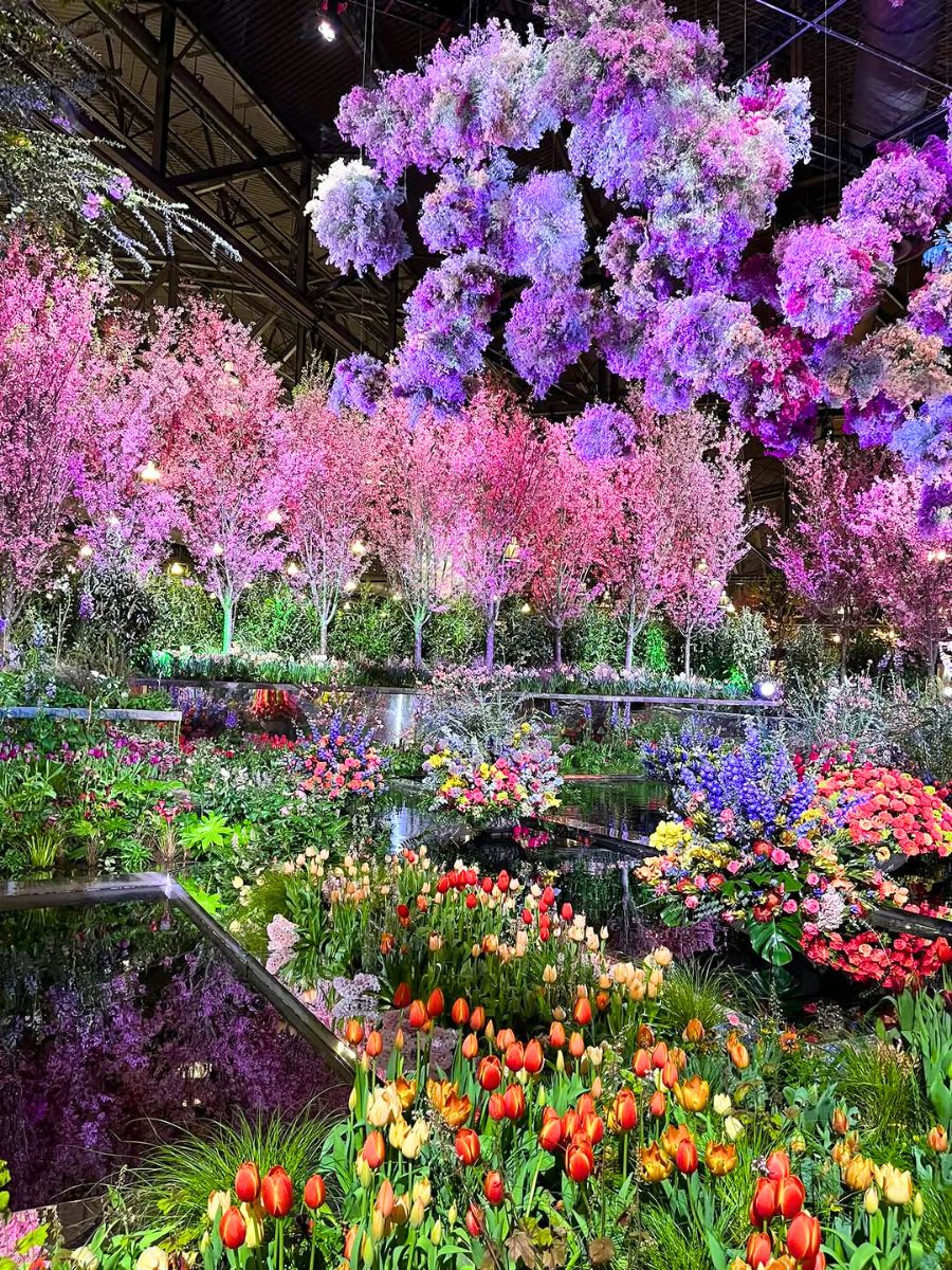 Last years Philadelphia Flower Show